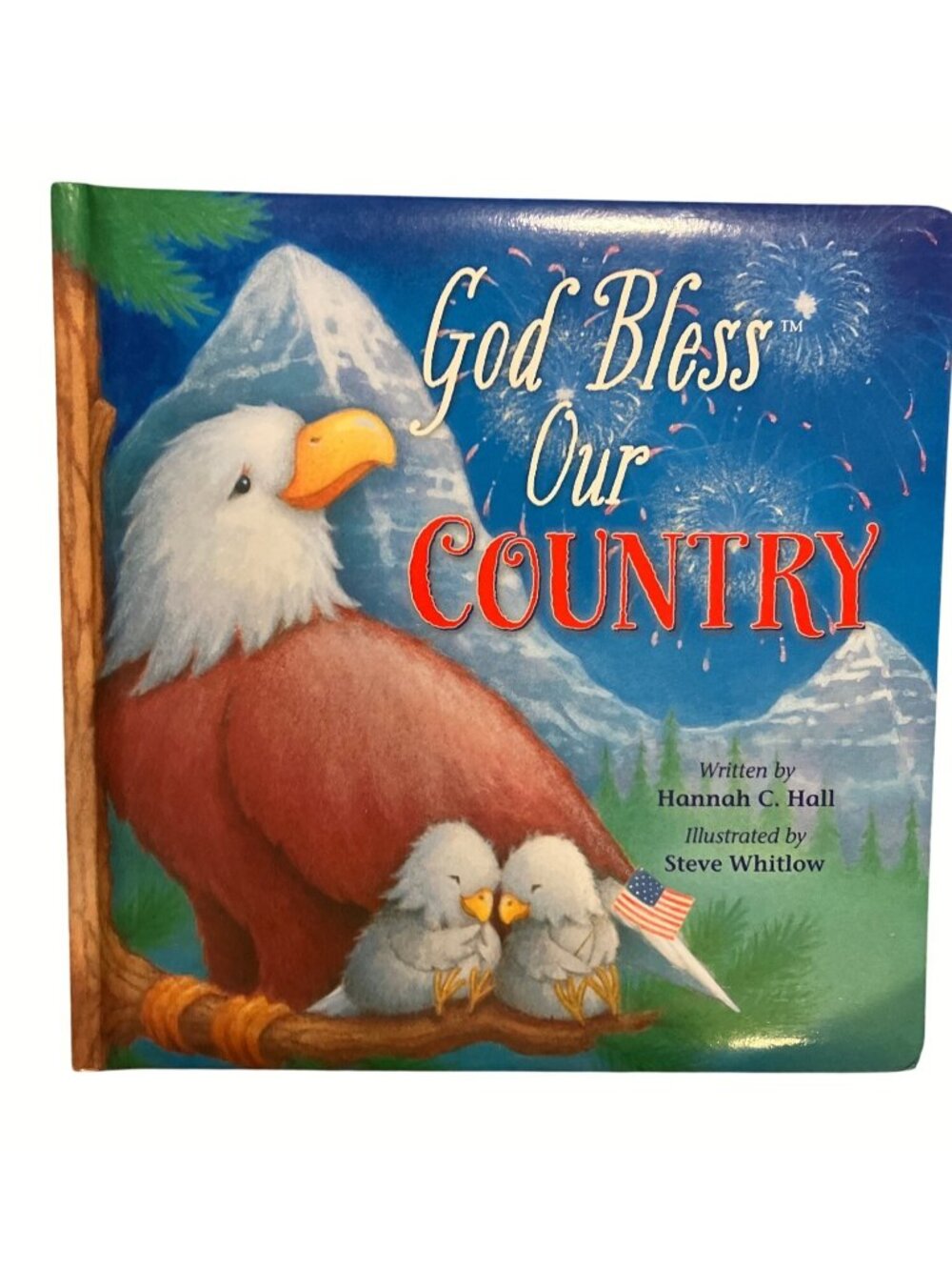 God Bless Our Country Hardcover Childrens Christian Themed Book